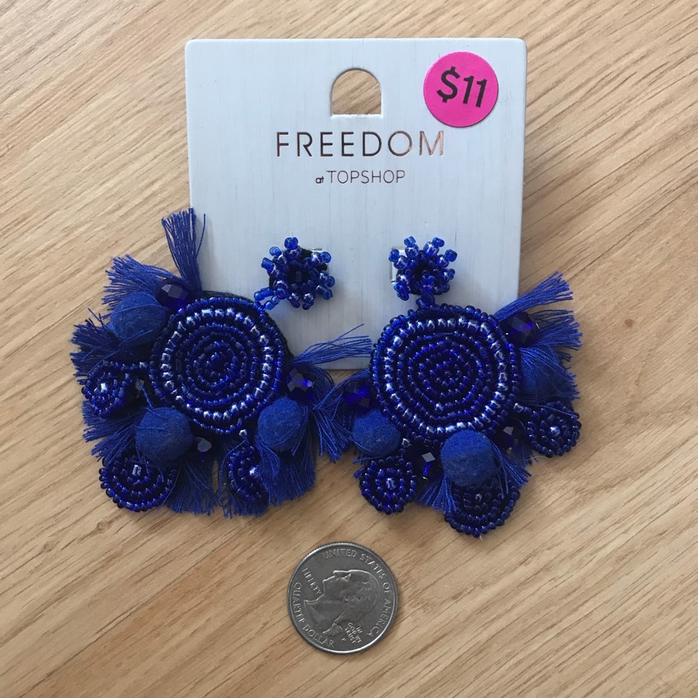 NWT Blue tassel earrings